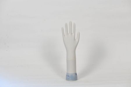 Picture for category Surgical Gloves